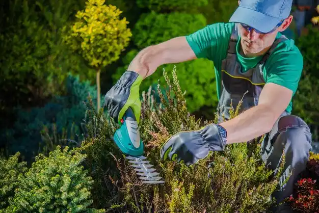 landscaping services Bay Shore
